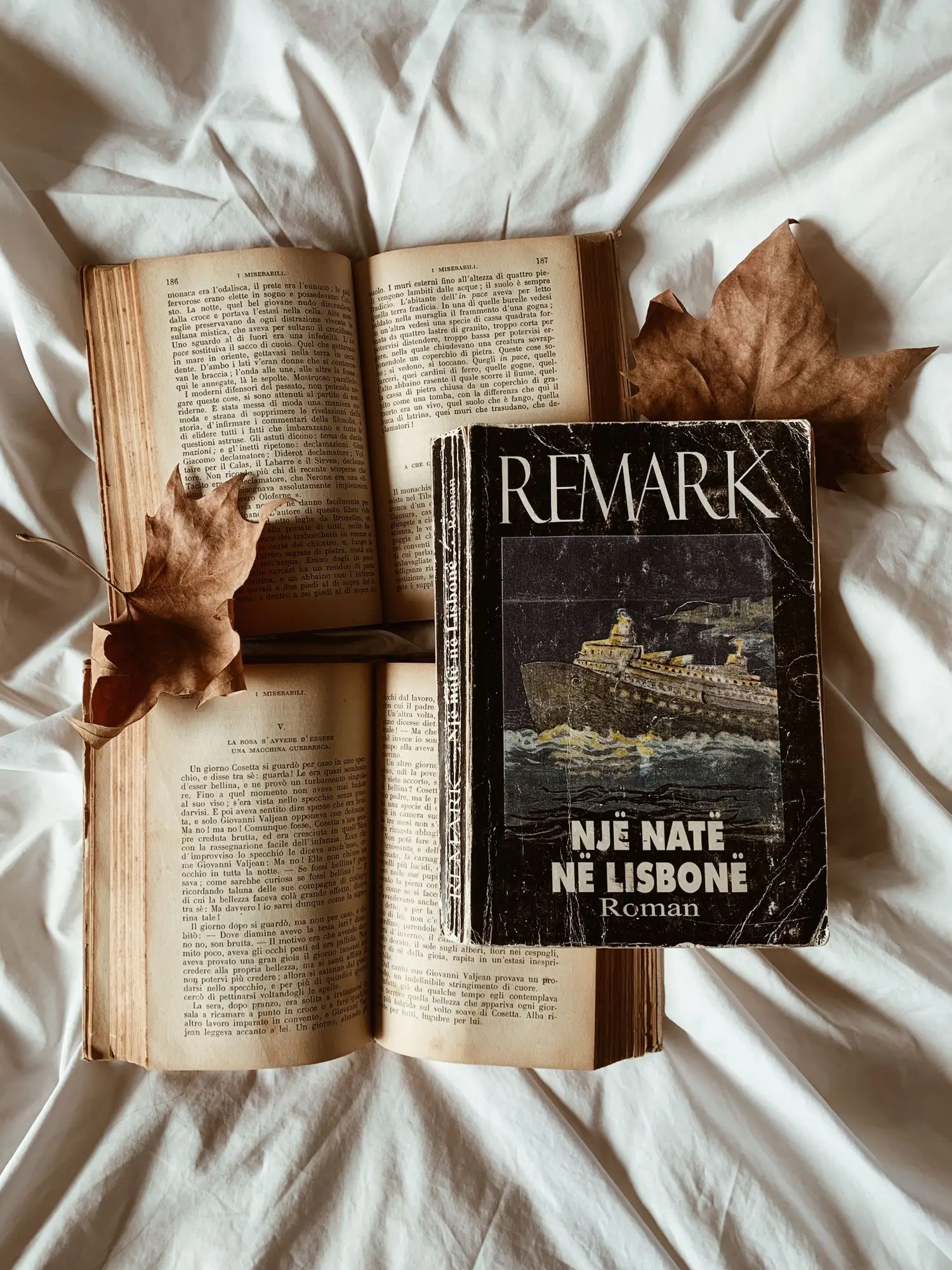 Novel resting on open pages
