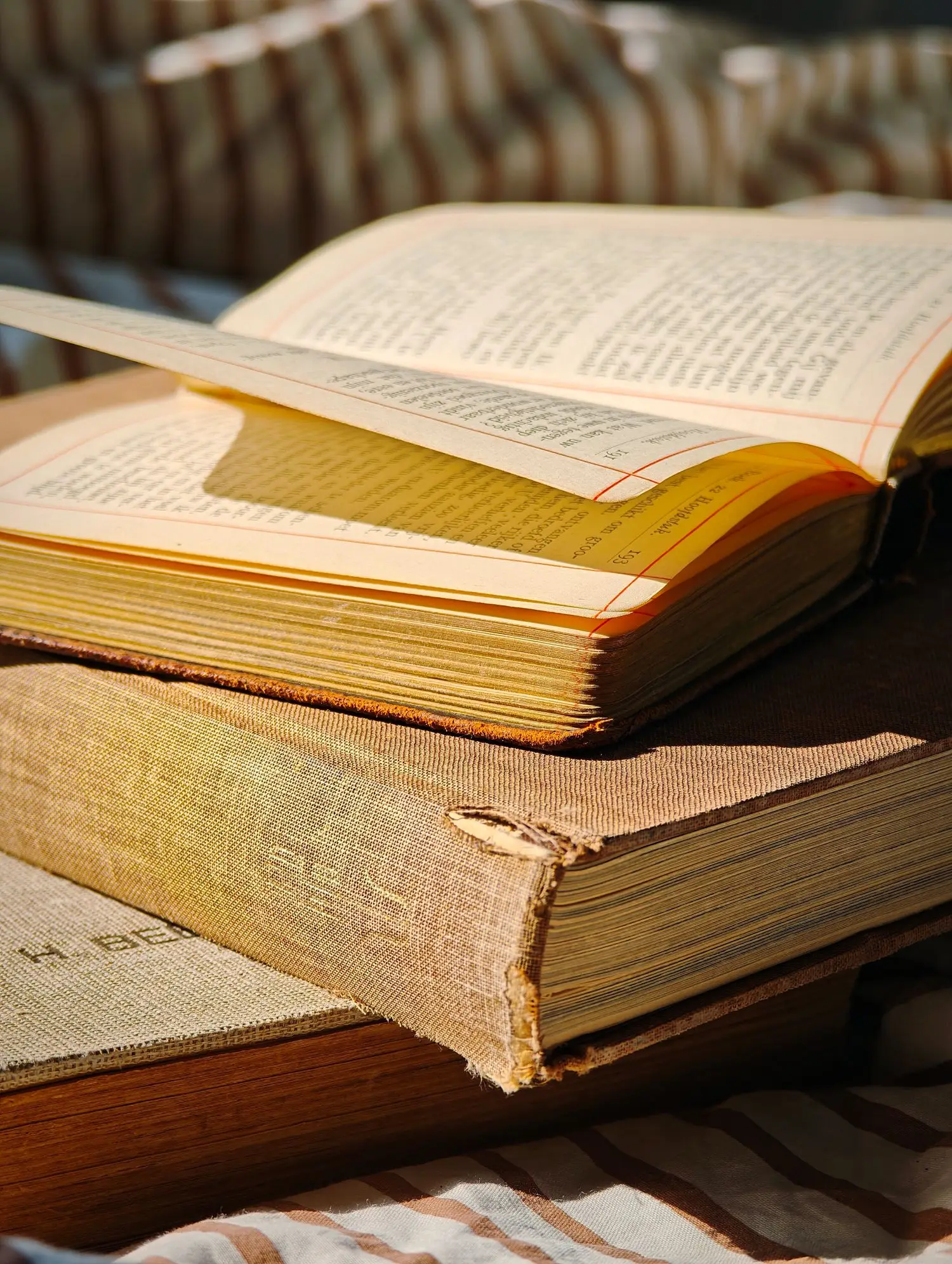 Close view of book pages in warm light